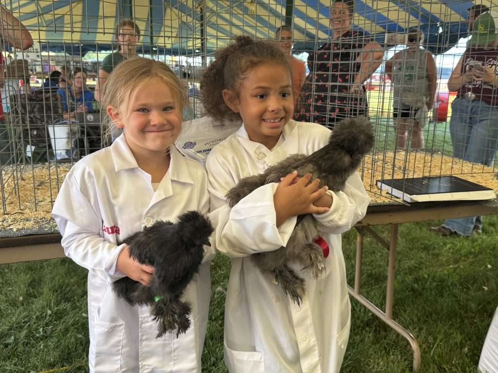 Two youth show chickens at fair